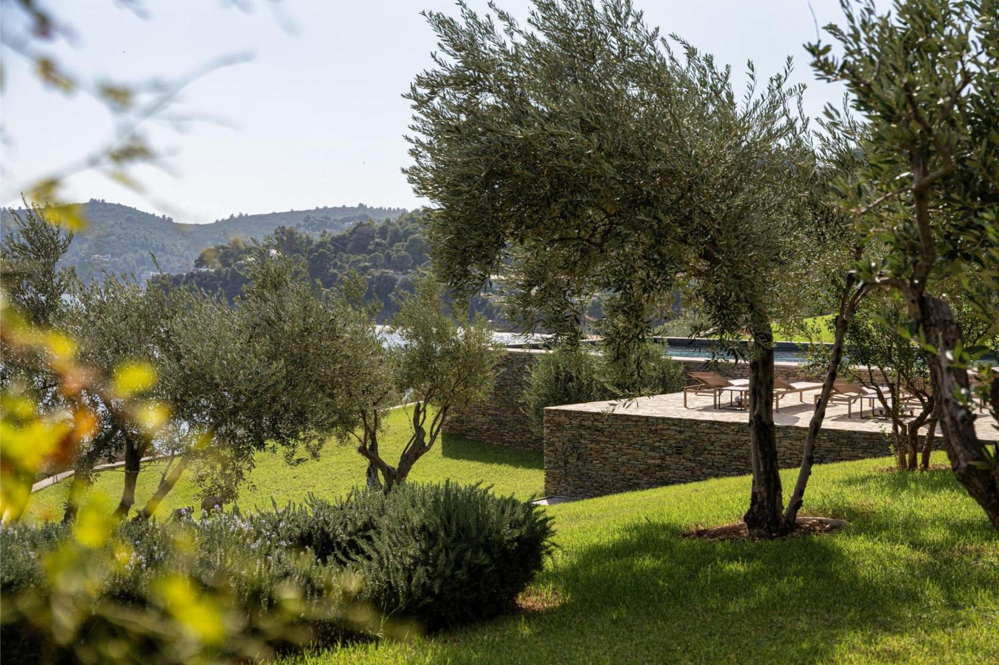 Pelagoon Skiathos Achladies  Oda fotoğraf